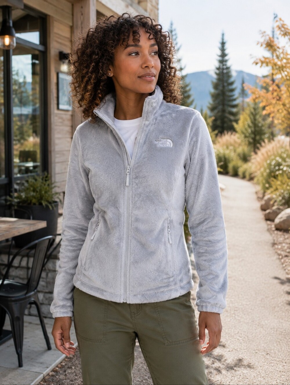 NWT The North Face Osito 2 High Rise Grey Fleece Jacket L